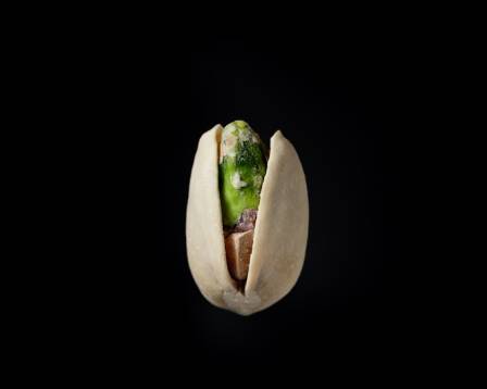 Fascinating Insights into the World of Pistachios