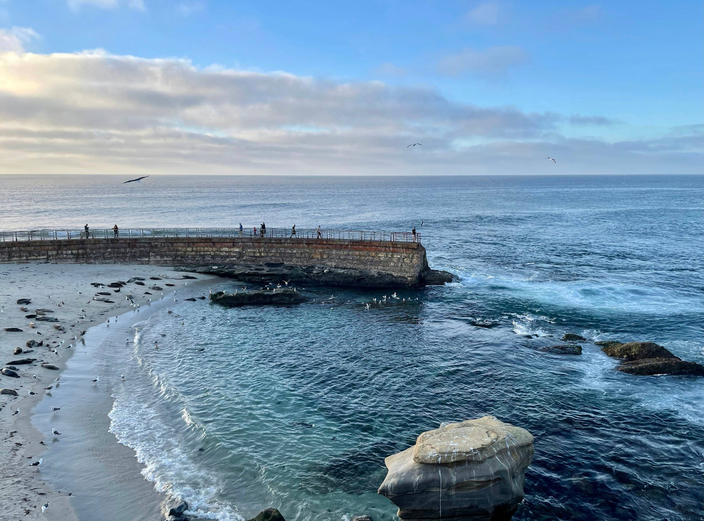brown wooden dock on sea during daytime