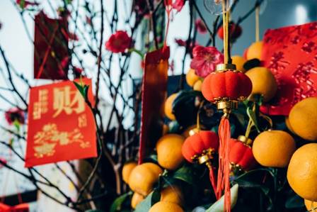 Ultimate Feng Shui Flower Selection Guide for Chinese New Year Home Decoration