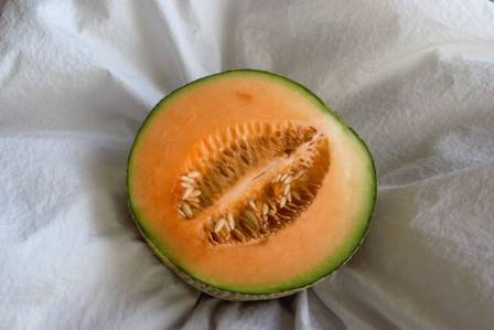 Xinjiang Melons: A Sweet Saga of Free Trade, Agricultural Cooperation, and Global Connection