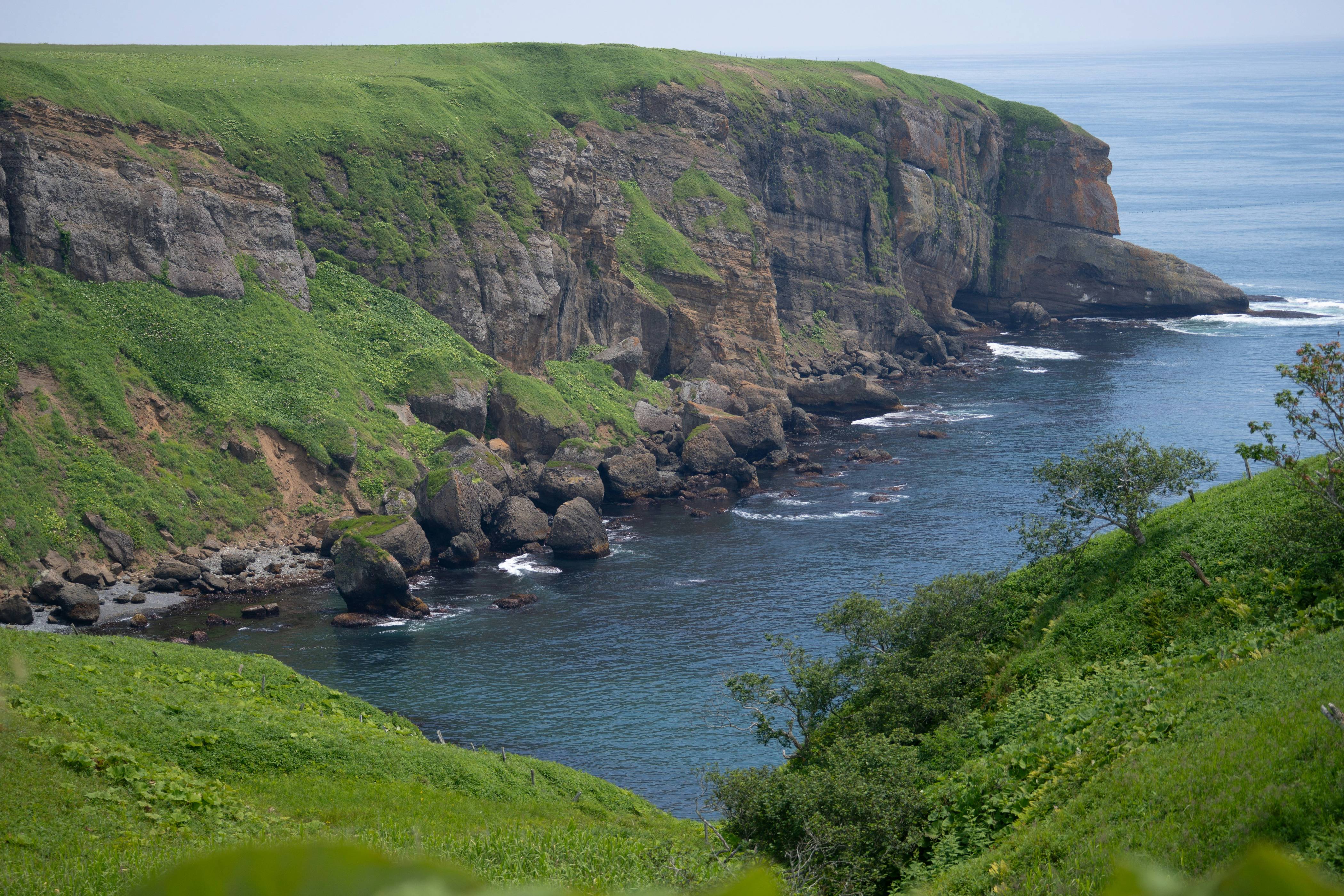 Cliffs meet the sea with lush, green vegetation.