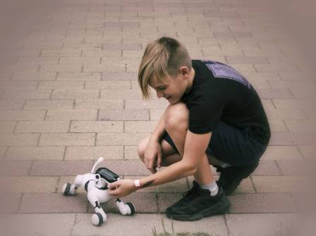 Top 10 Pet Robots in 2026