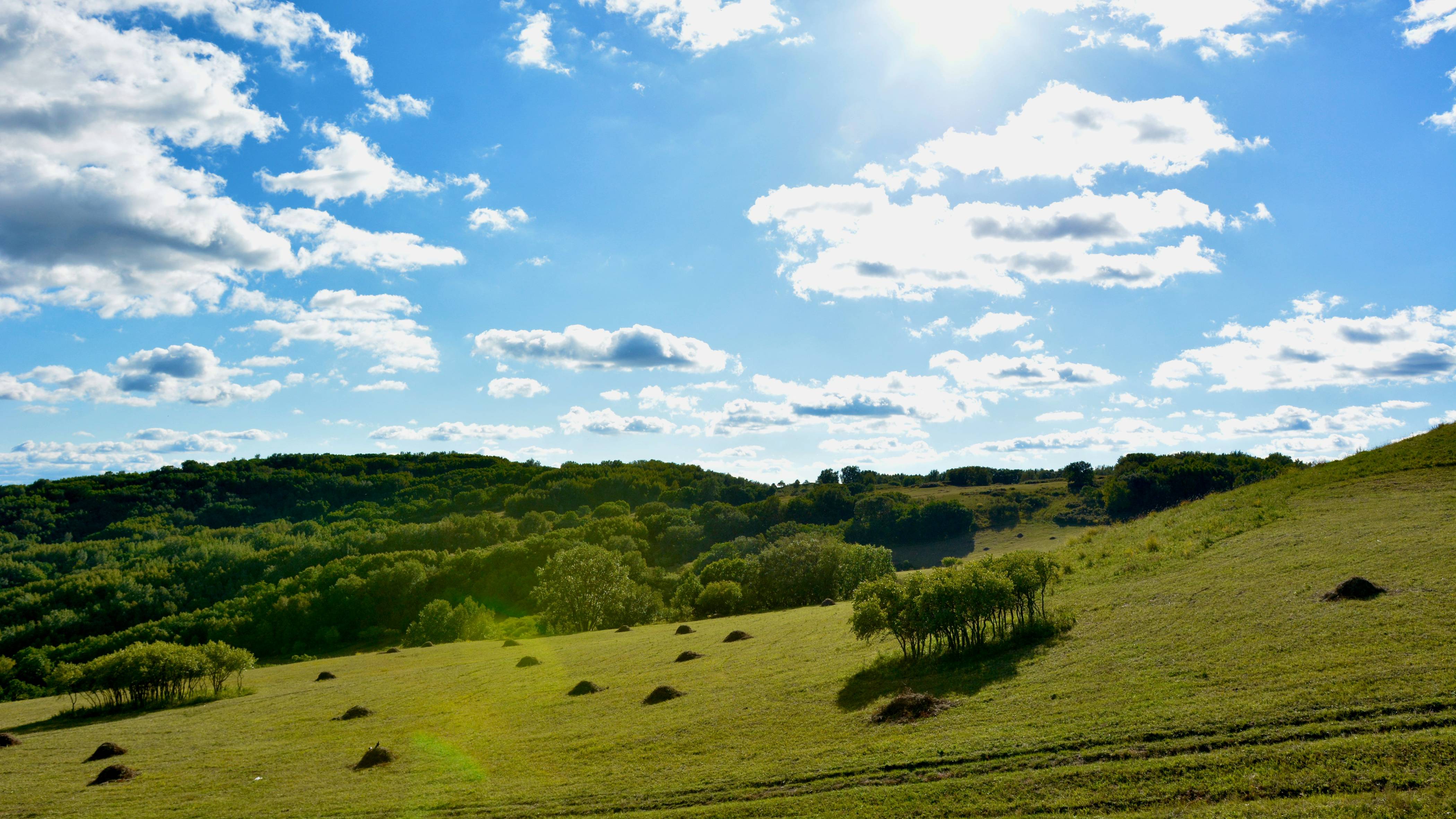 The sun is shining over a grassy hill